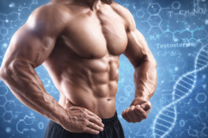 Muscular male torso representing hormone balance and testosterone replacement therapy in Garland, Texas.