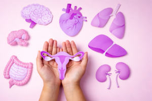 Hands holding a female reproductive system illustration surrounded by organ icons representing women’s health and wellness exams in Garland, Texas.