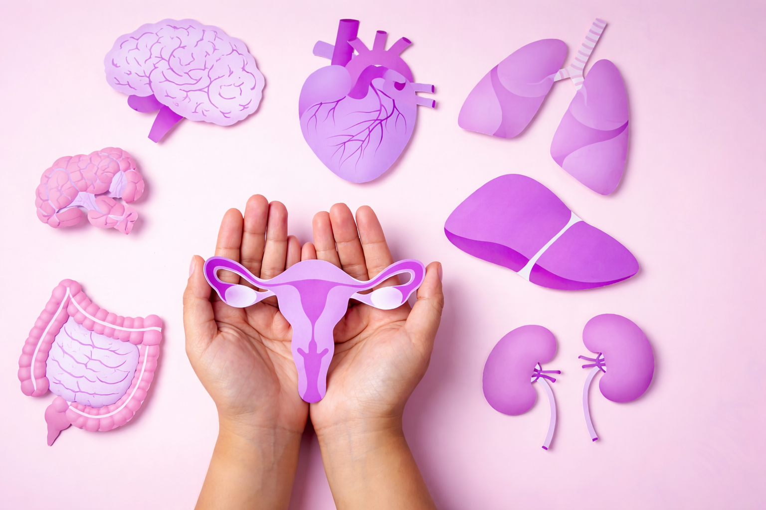 Hands holding a female reproductive system illustration surrounded by organ icons representing women’s health and wellness exams in Garland, Texas.